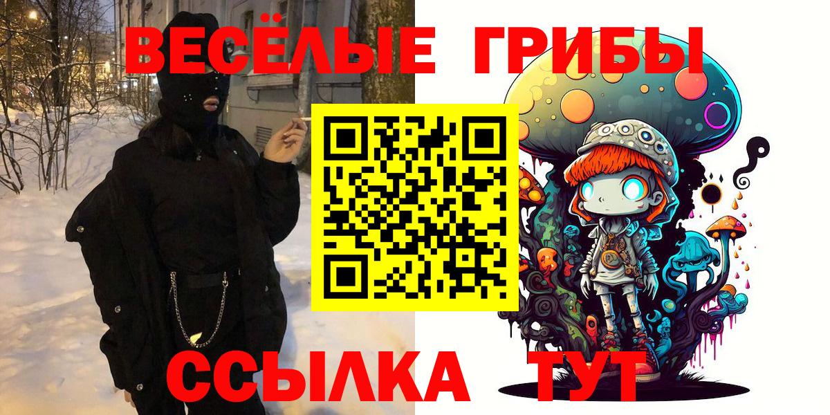 Псилоцибиновые грибы GOLDEN TEACHER Кисловодск